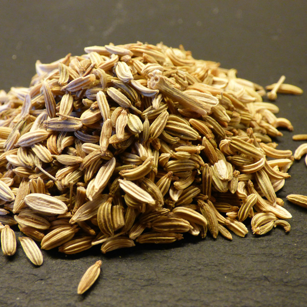 Graines de Fenouil Biologiques (8.49$ CAD$) – La Boite à Grains