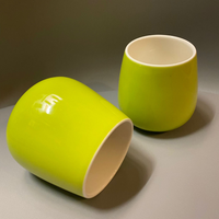 Théière saara lime - 0,9 litre