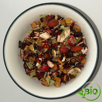 Infusion - Trésor Fruité - BIO